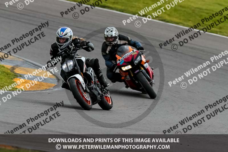 PJ Motorsport 2019;anglesey no limits trackday;anglesey photographs;anglesey trackday photographs;enduro digital images;event digital images;eventdigitalimages;no limits trackdays;peter wileman photography;racing digital images;trac mon;trackday digital images;trackday photos;ty croes